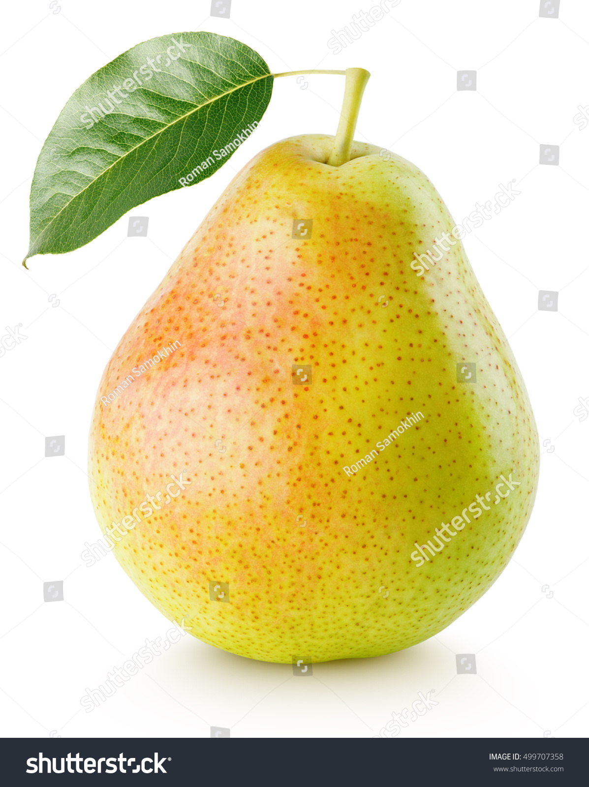 Red yellow pear fruit with leaf isolated on white with clipping path #499707358