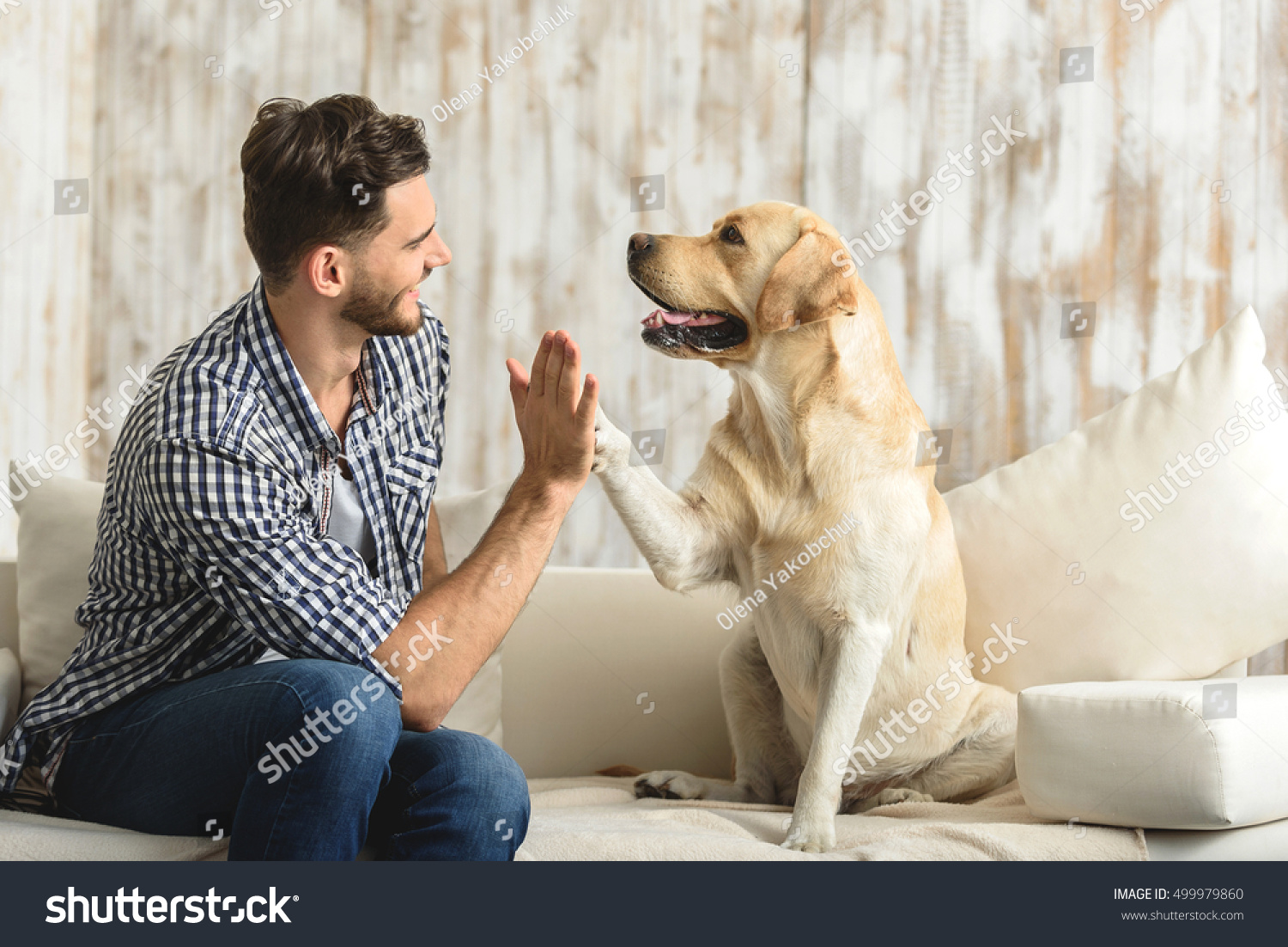 happy guy sitting on a sofa and looking at dog #499979860