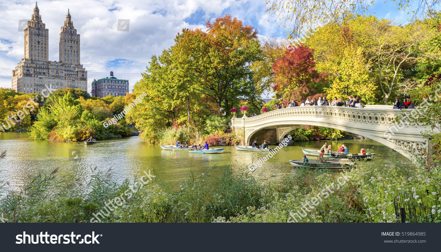 Beautiful foliage colors of New York Central Park. #519864985