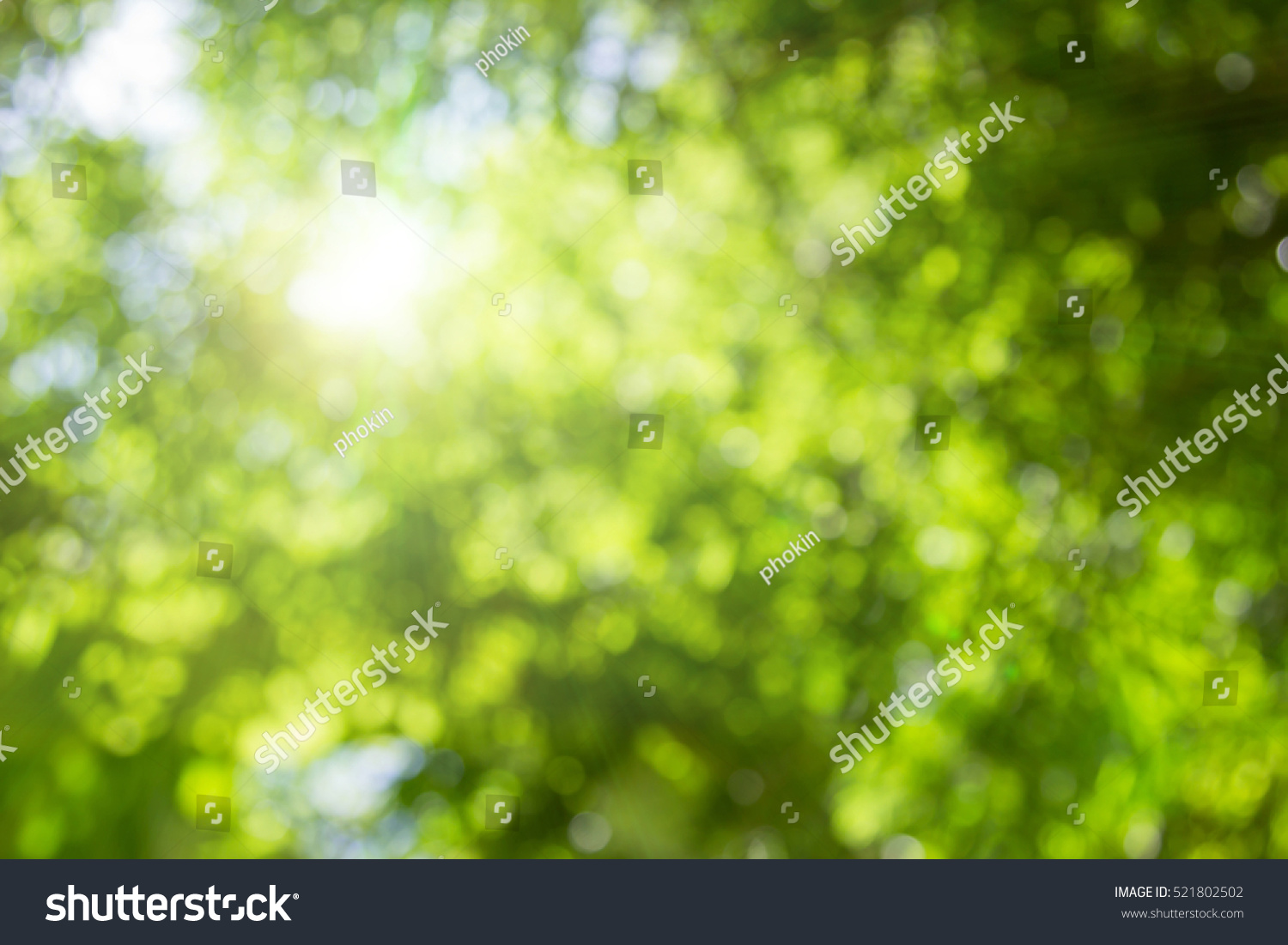 Abstract blur green foliage and tree in jungle with sun light spring summer. Farming concept on plant forest and environment day of farmer organic building sunshine on leaf herb lush soft in ecology. #521802502