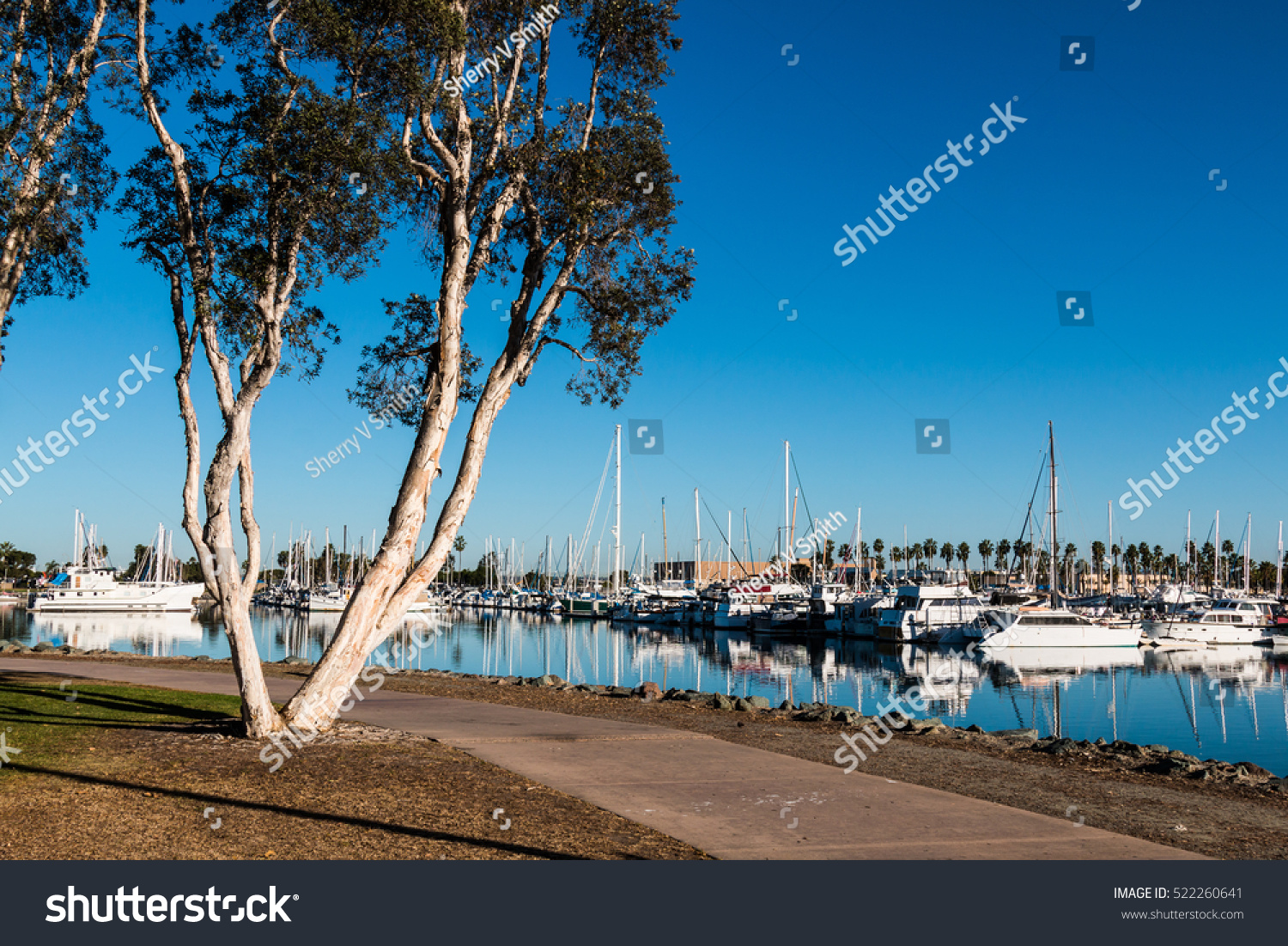 Pathway through the Chula Vista Bayfront park with boats moored in the marina. #522260641