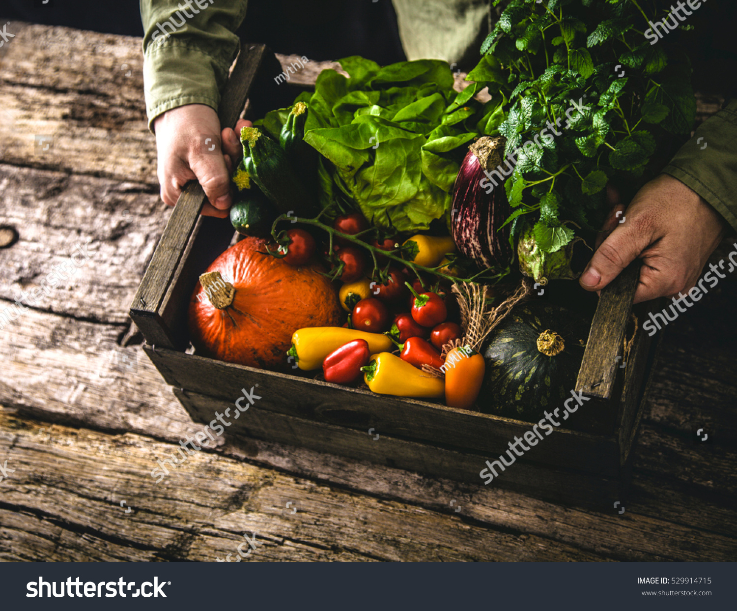 Organic vegetables on wood. Farmer holding harvested vegetables. Rustic setting #529914715