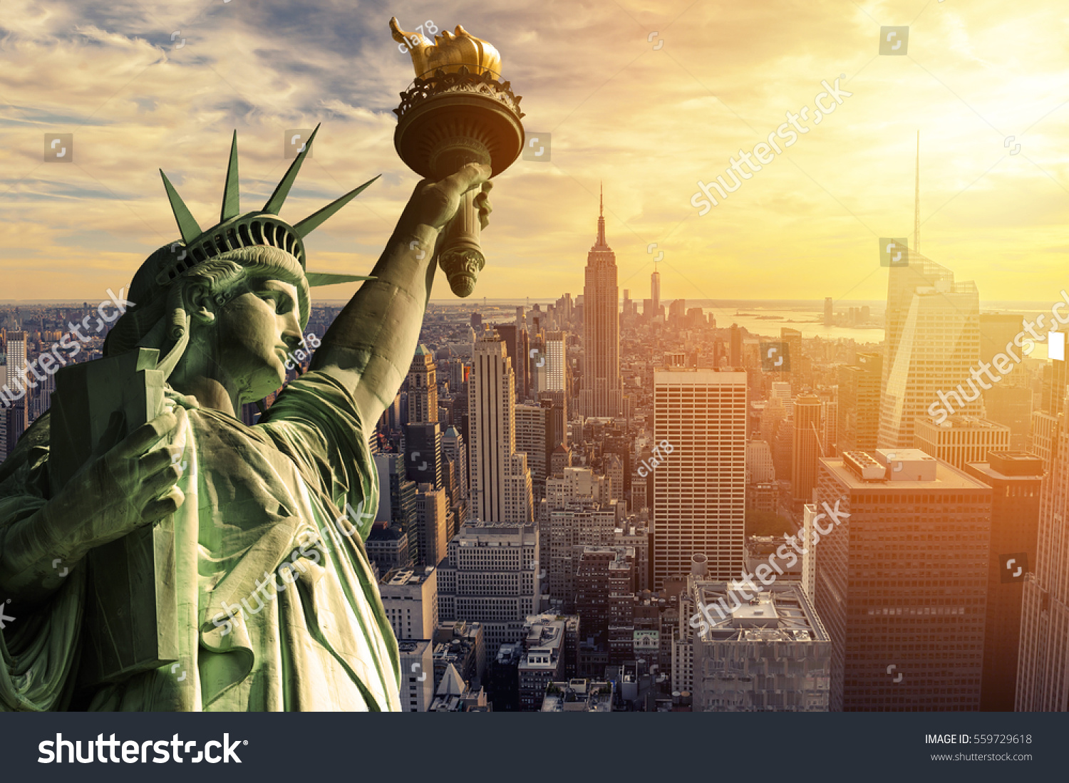 The Statue of Liberty and New York City skyline at dark #559729618