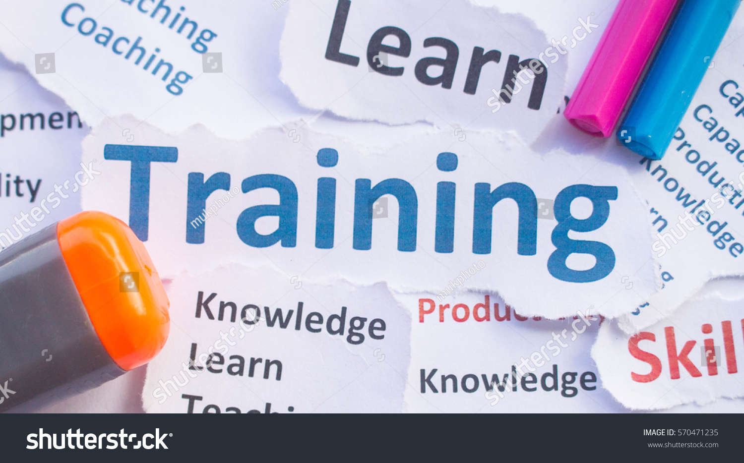 Business Training banner,Training for learn,skill,productivity,capacity building,knowledge,development #570471235