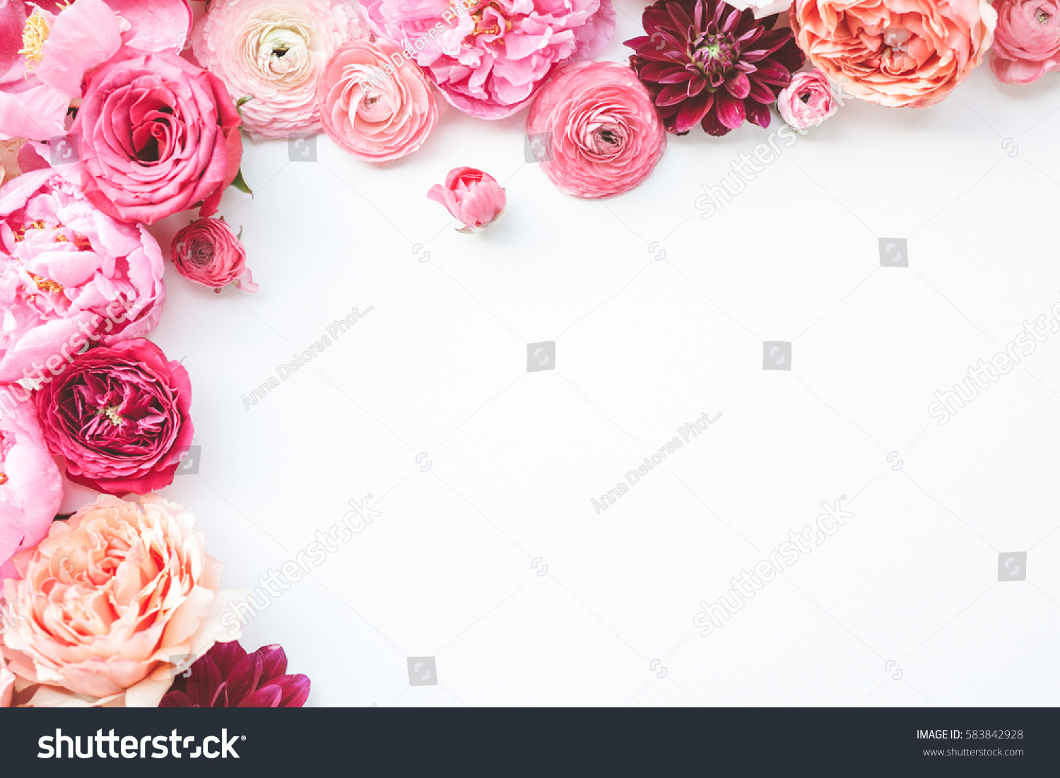 Pink floral / assorted pink flower border on white background #583842928