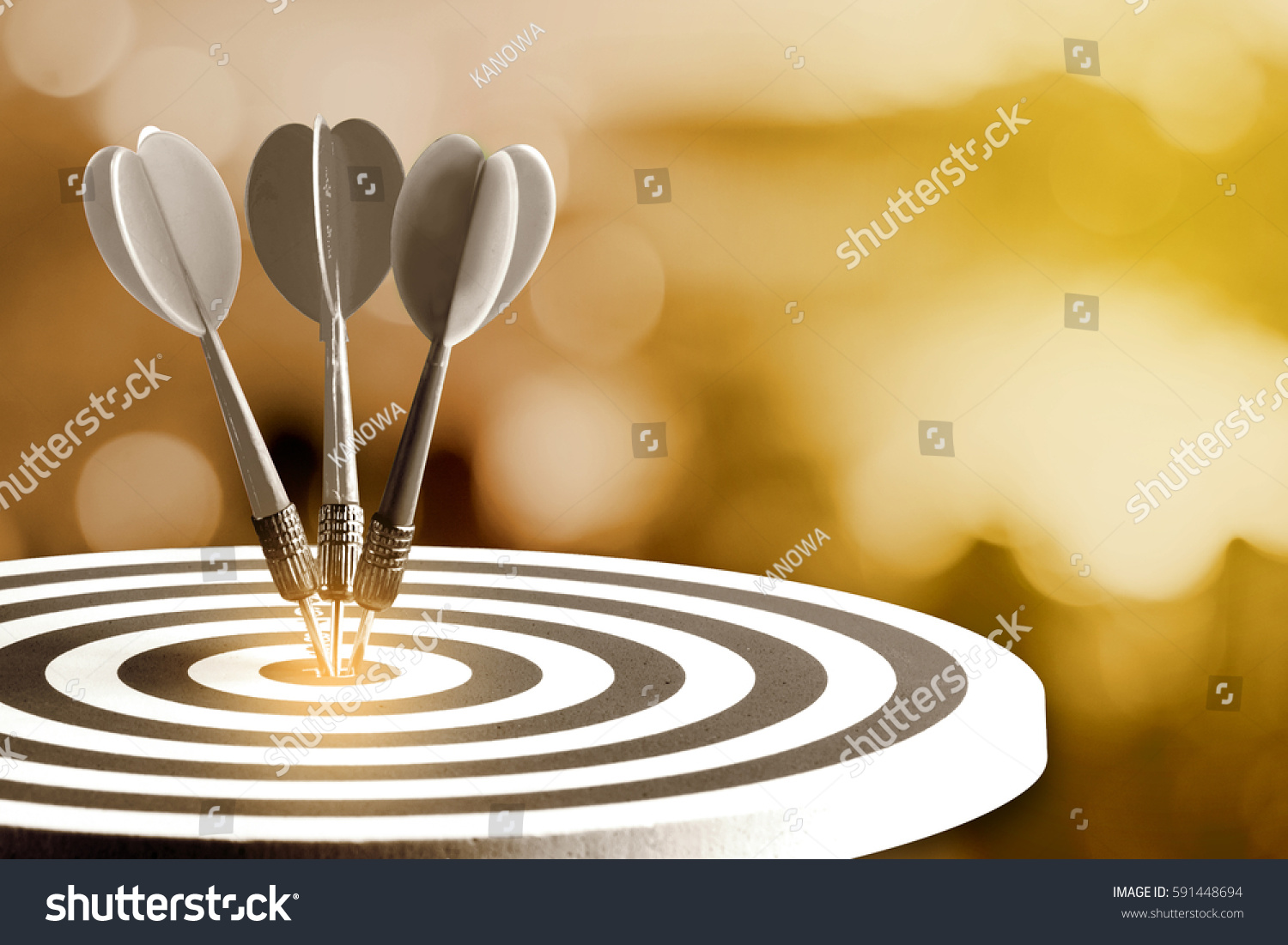 Circular target marked with numbers and dart with defocused or blurred bokeh background. An idea of business targets, audience, market, group, analysis, risk, rate, area, value #591448694