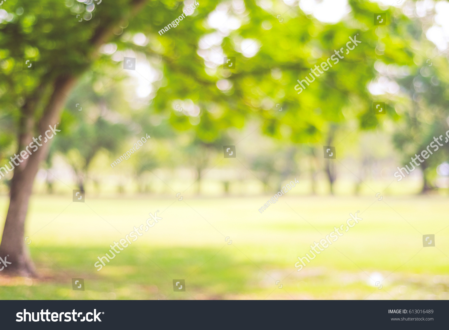 Blur park garden tree in nature background, blurry green bokeh light outdoor in summer background #613016489