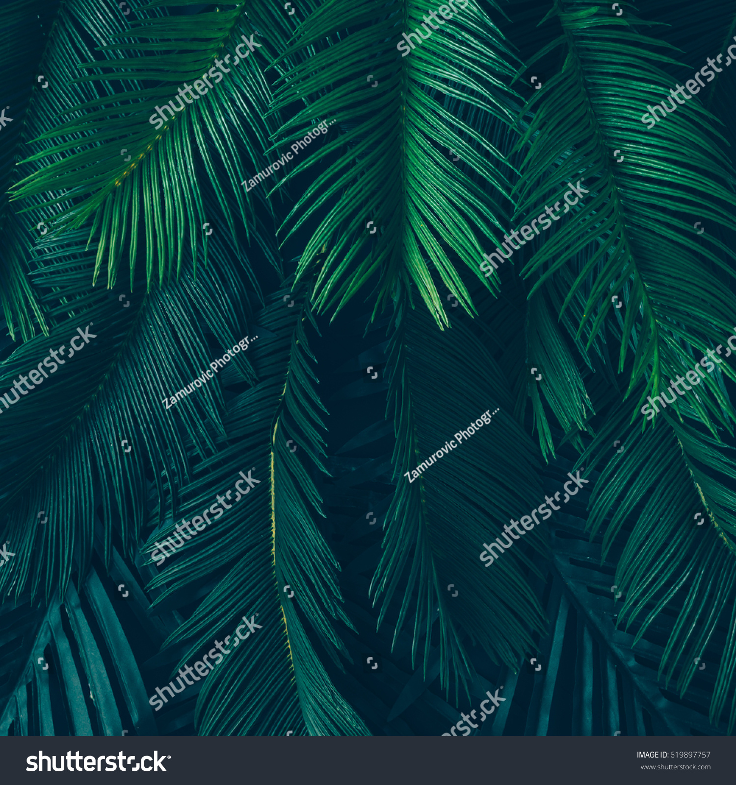 Creative nature layout made of tropical leaves and flowers. Flat lay. Summer concept. #619897757