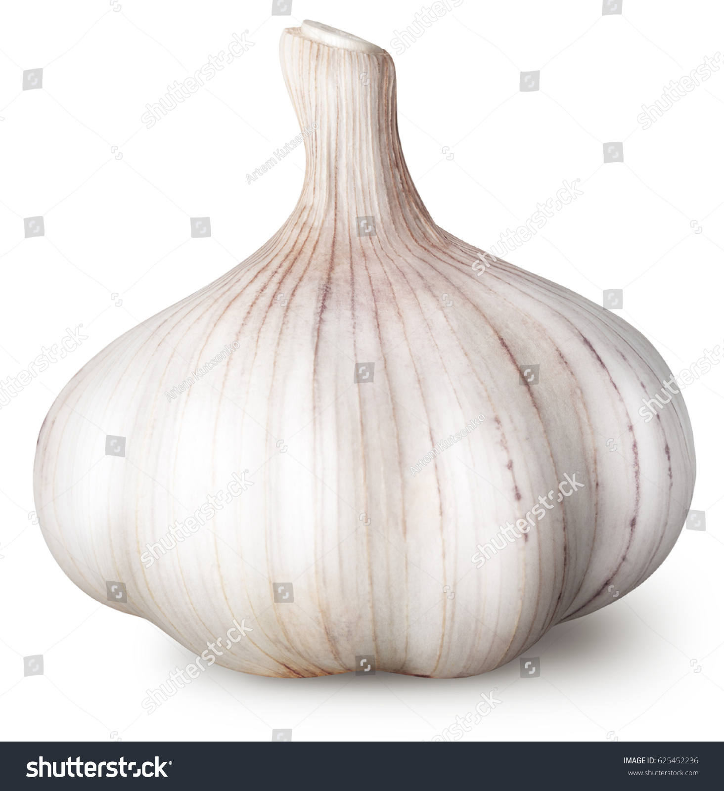 Isolated garlic. Raw garlic isolated on white background #625452236