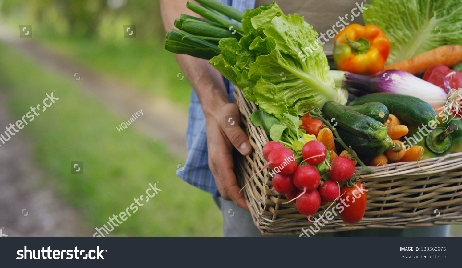 Basket with vegetables (cabbage, carrots, cucumbers, radish and peppers) in the hands of a farmer background of nature Concept of biological, bio products, bio ecology, grown by yourself, vegetarians. #633563996