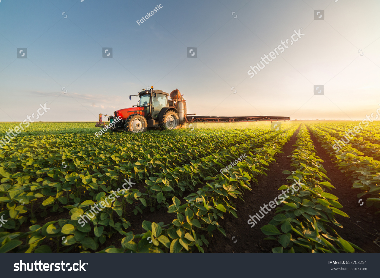 Tractor spraying pesticides on soybean field  with sprayer at spring #653708254