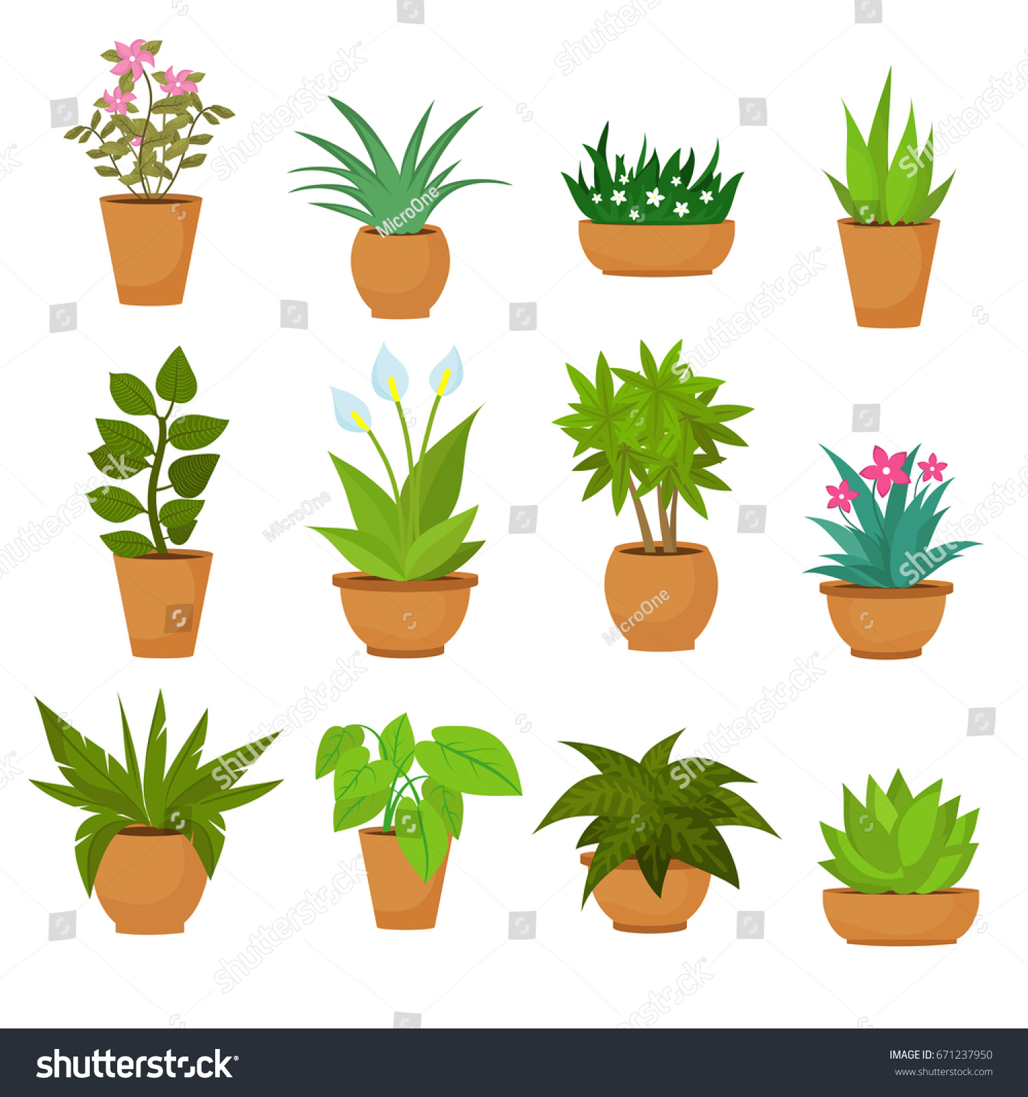 Indoor and outdoor landscape garden potted plants isolated on white. Vector set green plant in pot, illustration of flowerpot bloom #671237950