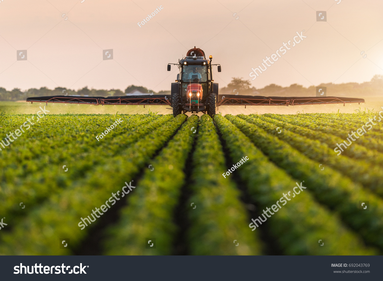 Tractor spraying pesticides on soybean field  with sprayer at spring #692043769