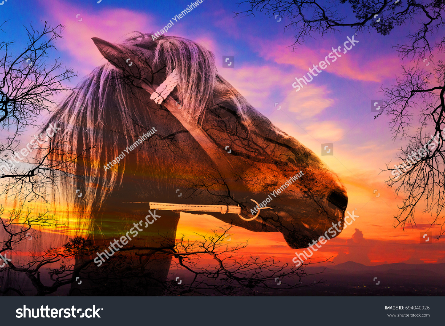 Double exposure of a horse and trees on sky sunset  #694040926