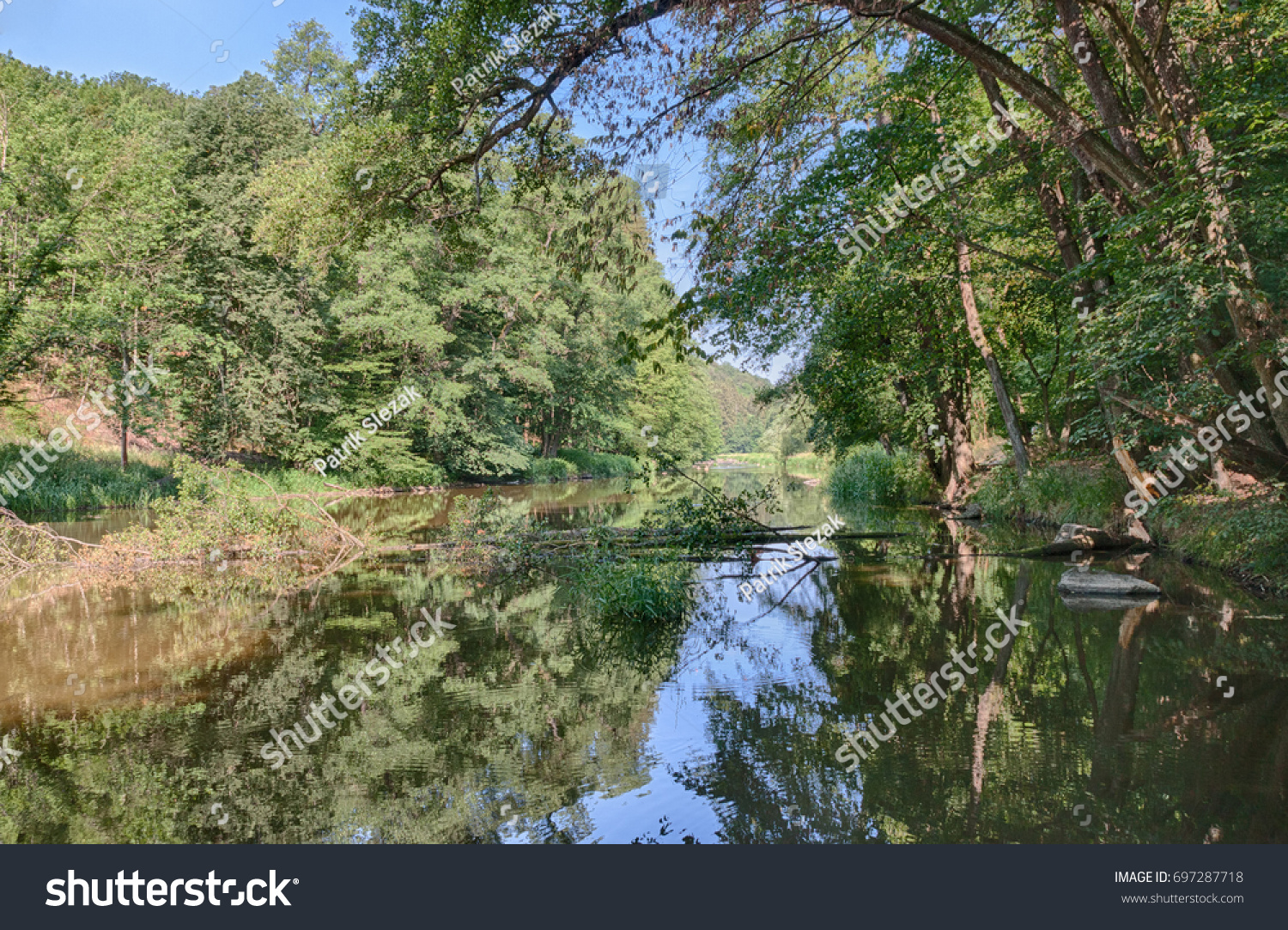 The small  valley of river Oslava, Czech Republic in the summer day.  #697287718