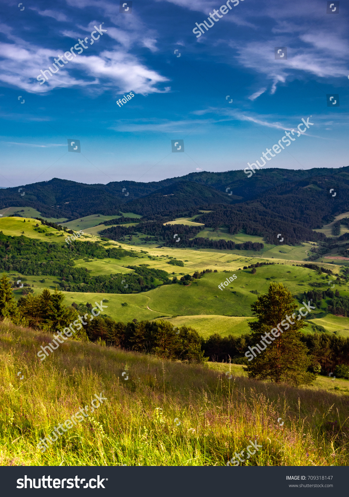 Valley between Spis Magura and Pieniny Mountains Range. View from Wysoki Wierch (Slachtovsky) Mount. #709318147