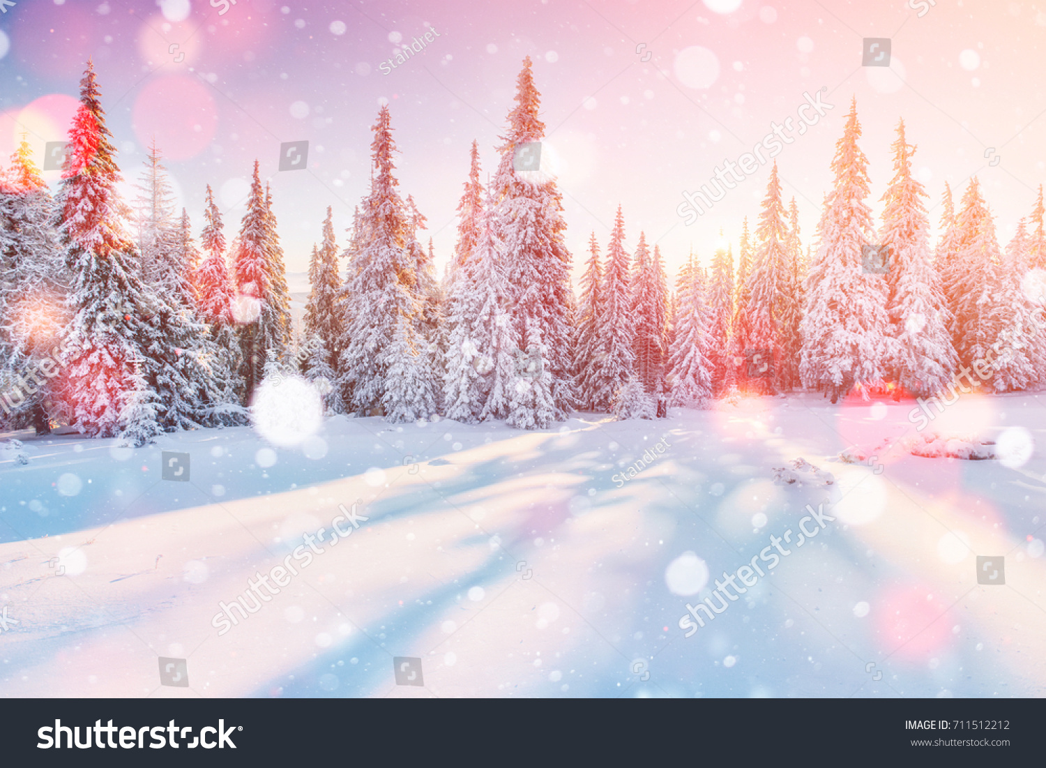 Tajemniczy krajobraz majestatyczne góry zimą. Magiczne drzewo pokryte śniegiem. Zdjęcie kartka z życzeniami. Efekt świetlny Bokeh, miękki filtr. Karpacki Ukraina Europa #711512212