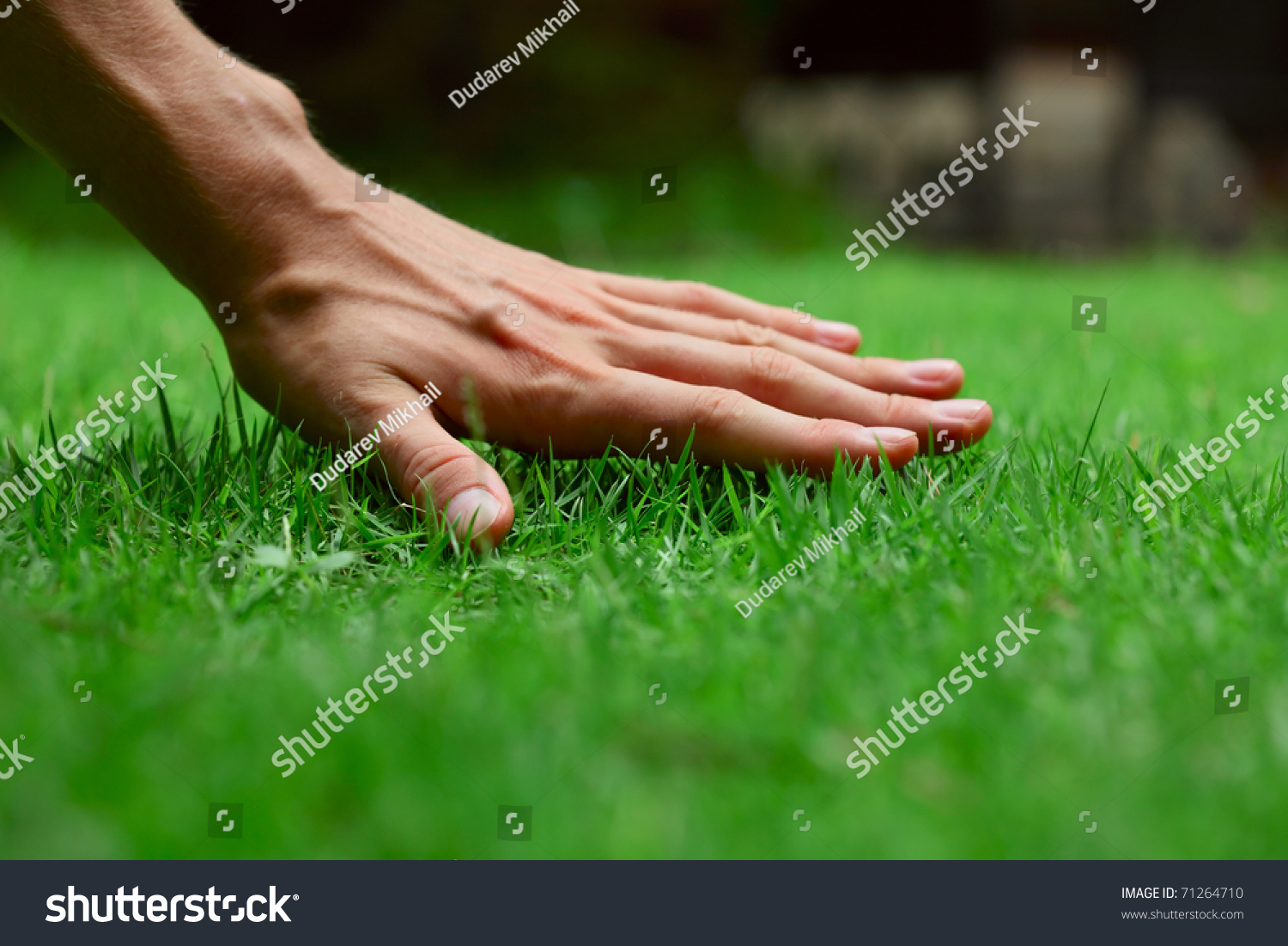 Hand on green lush grass #71264710