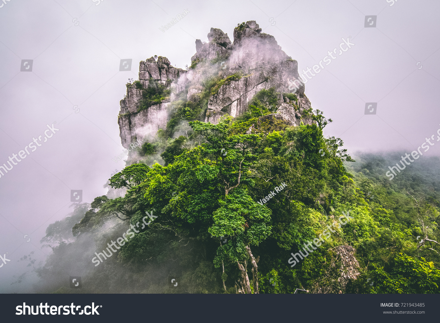 Mountain in the cloud and fog  #721943485