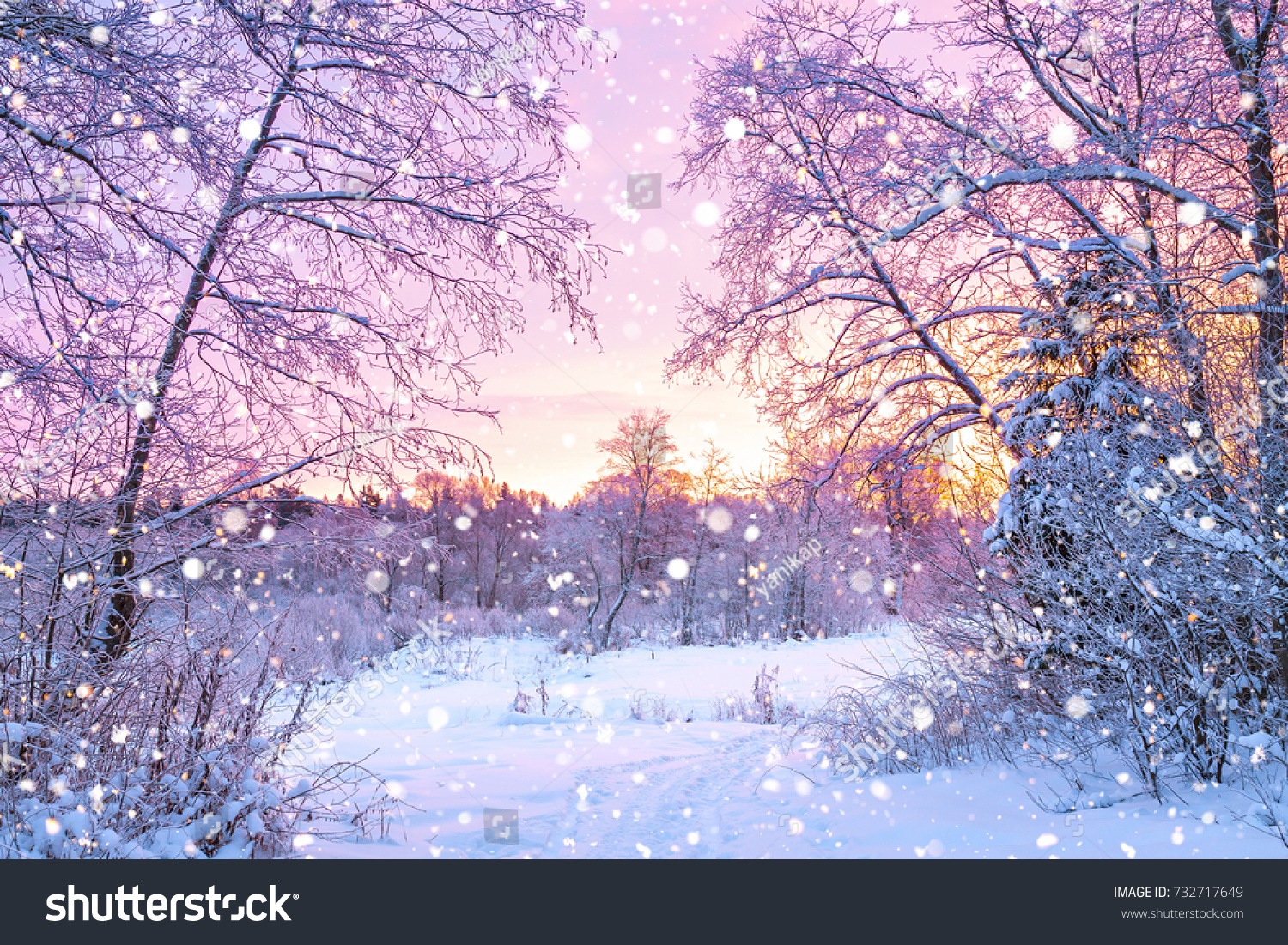 beautiful winter landscape with forest, trees and sunrise. winterly morning of a new day. purple winter landscape with sunset #732717649
