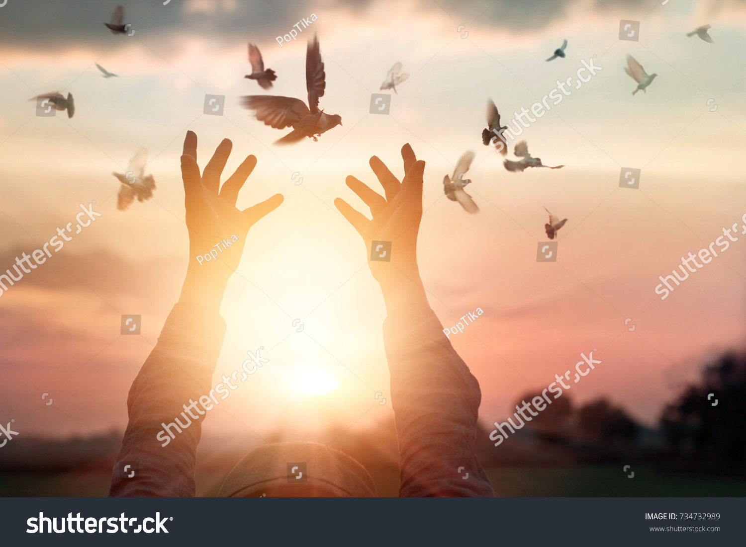 Woman praying and free bird enjoying nature on sunset background, hope concept  #734732989