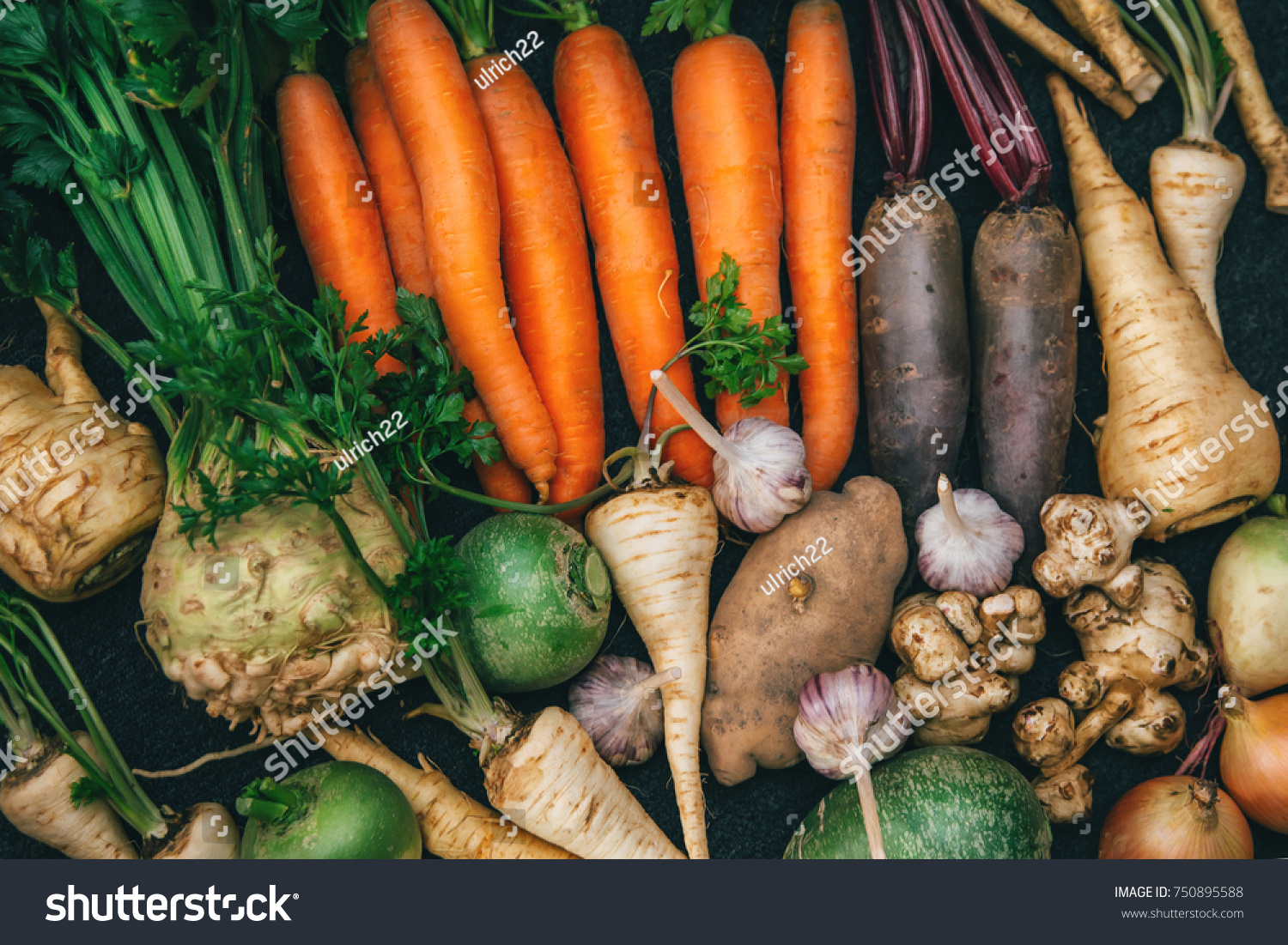 Root crops, carrots, parsley root, turnip, onion, garlic, Jerusalem artichoke, horseradish. Root crops background. Food background #750895588