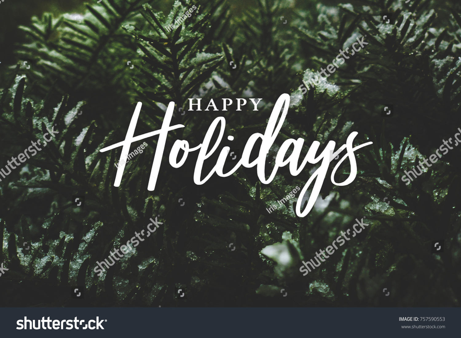 Happy Holidays Text Over Winter Evergreen Branches Covered in Snow #757590553