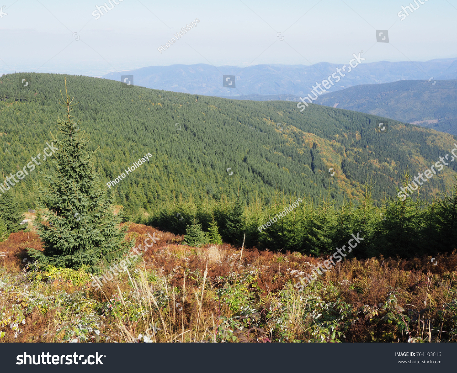 Scenic view on Moravian-Silesian Beskids mountains range landscape seen from Lysa Hora mount in Czech Republic with clear blue sky in 2017 warm sunny autumn day, Europe on September. #764103016