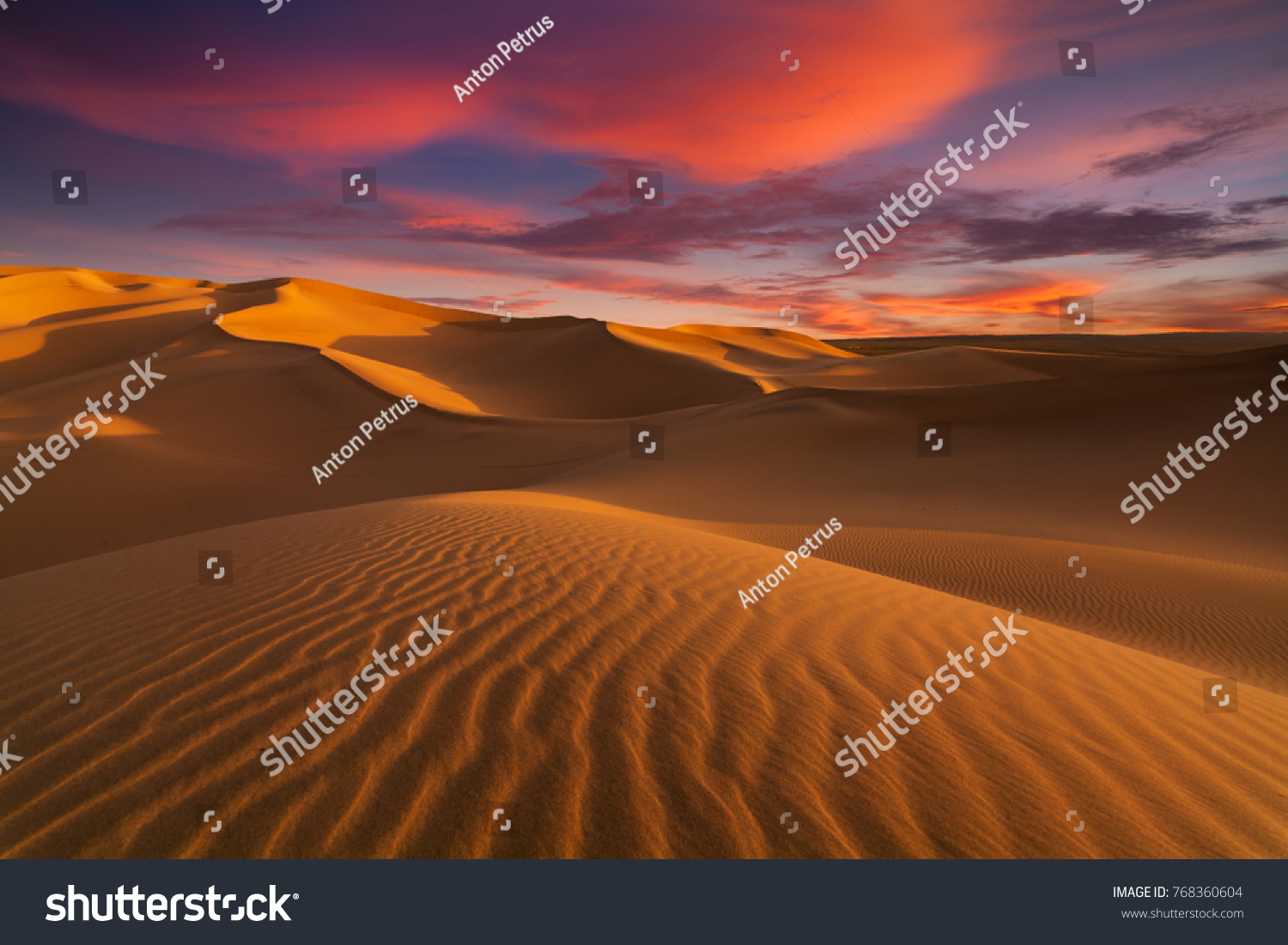 Beautiful sand dunes in the Sahara desert. #768360604