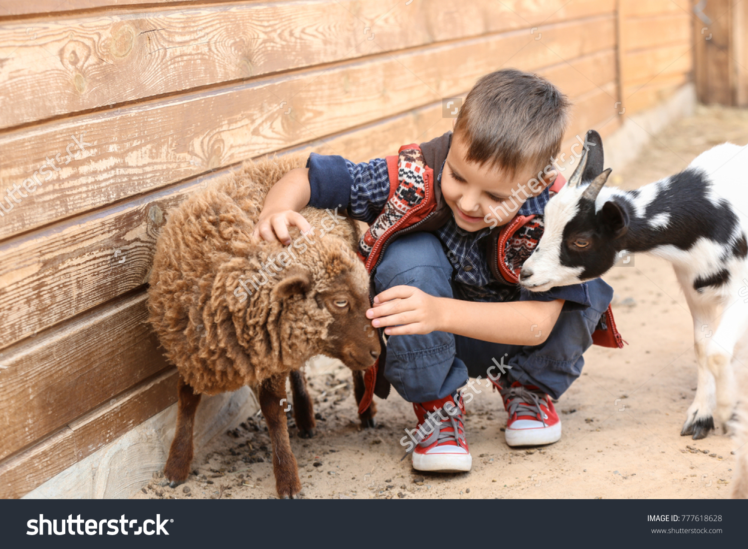 Cute little boy with sheep in petting zoo #777618628