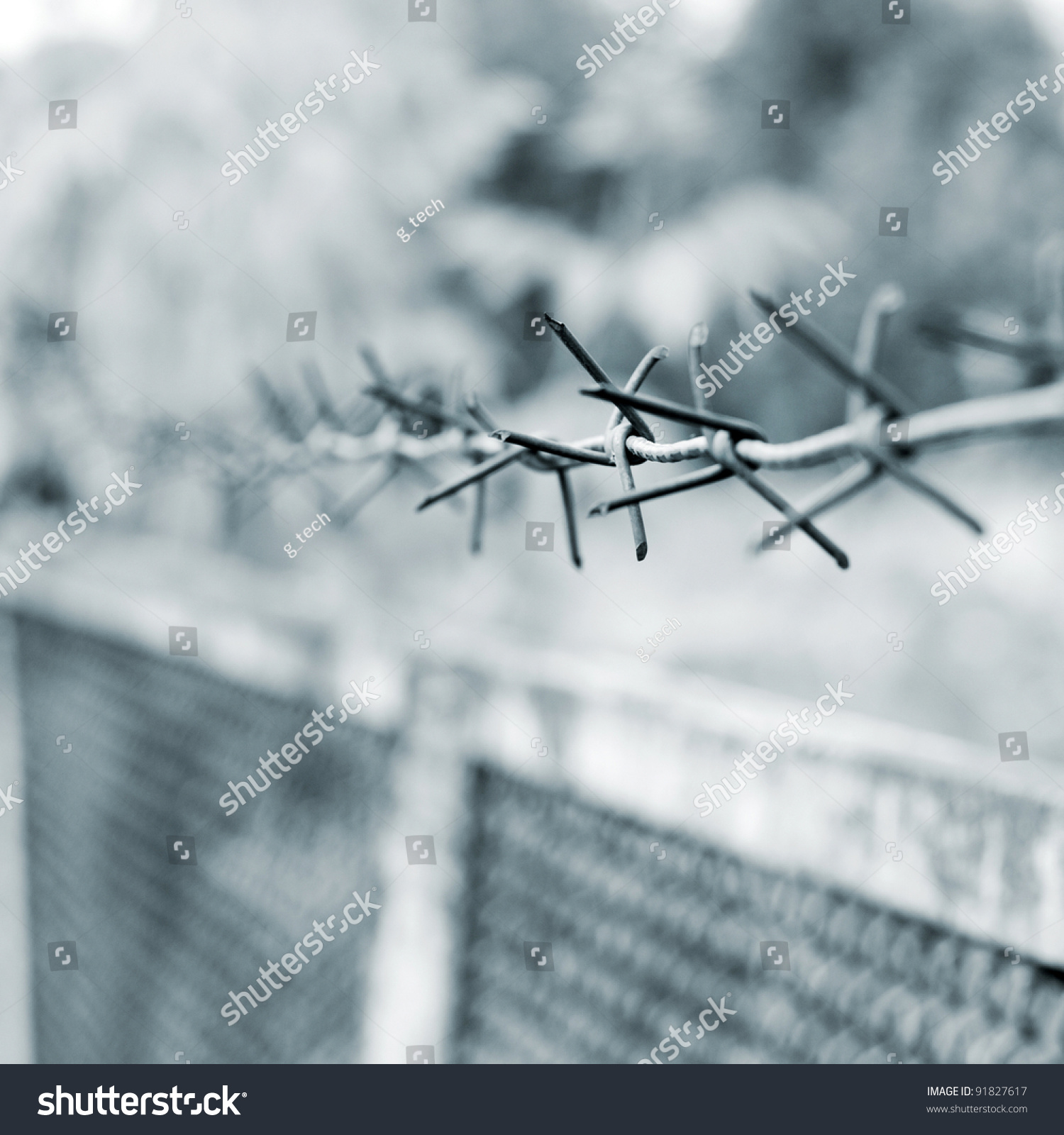 strands of barbed wire against a soft gray background #91827617