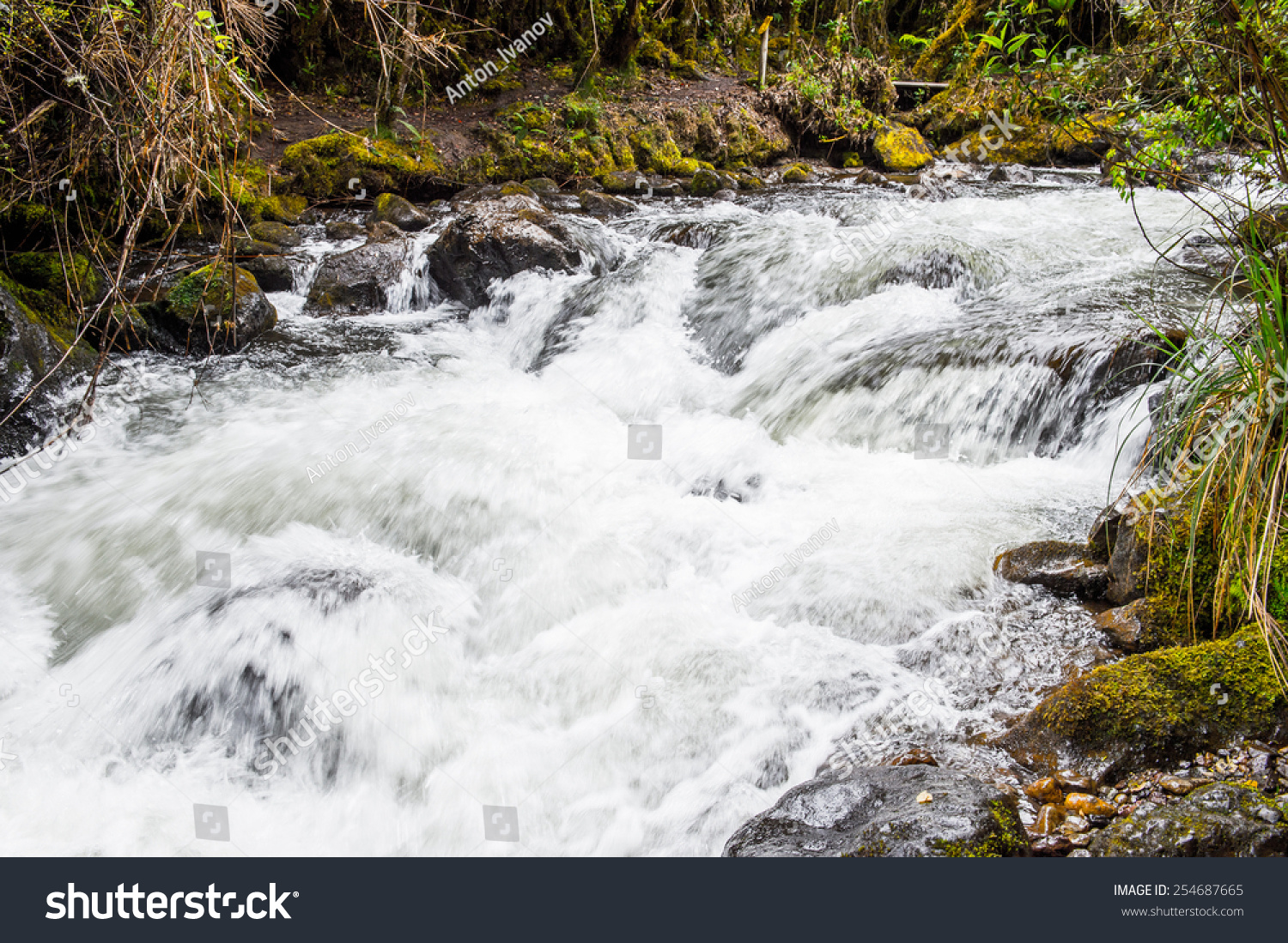 Edit Photos Free Online - Water creek | Shutterstock Editor