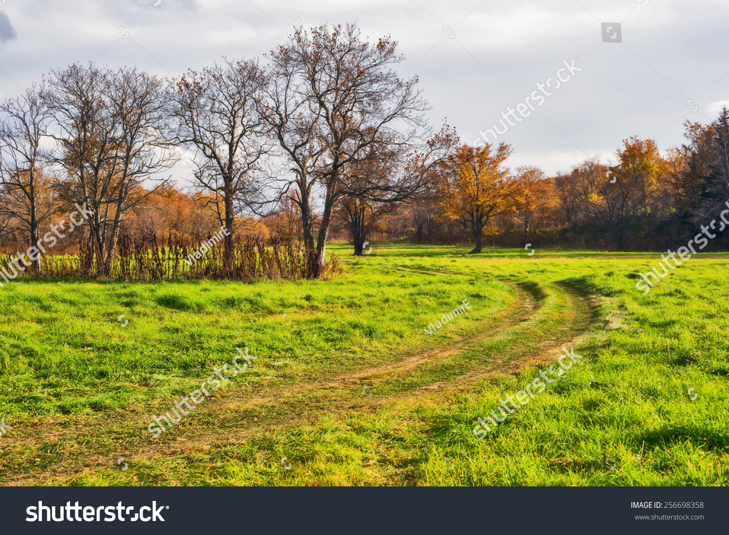 Загрузить фото shutterstock