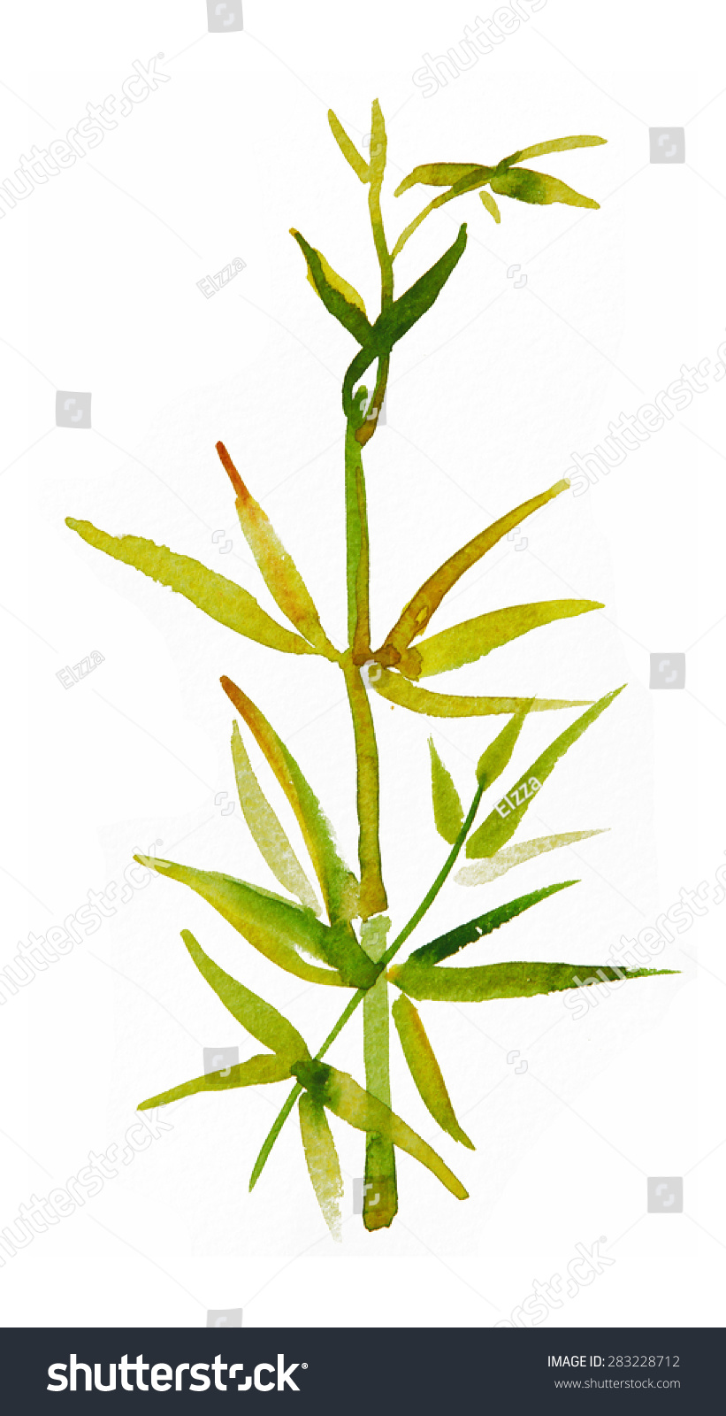 Edit Vectors Free Online - Bamboo leaves | Shutterstock Editor