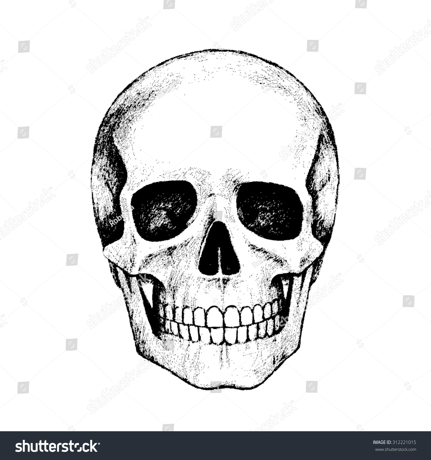 Edit Vectors Free Online - Human skull. | Shutterstock Editor