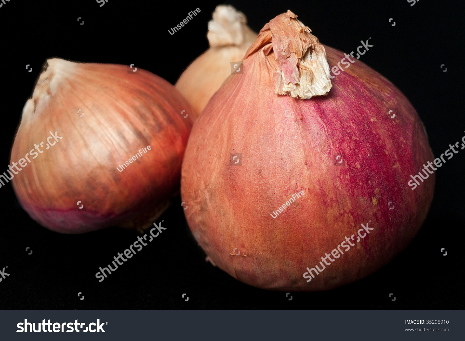 Edit Images Free Online - Three onions | Shutterstock Editor