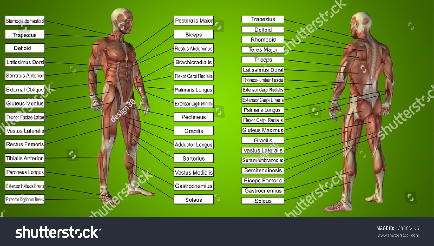 Edit Vectors Free Online - Concept or conceptual | Shutterstock Editor