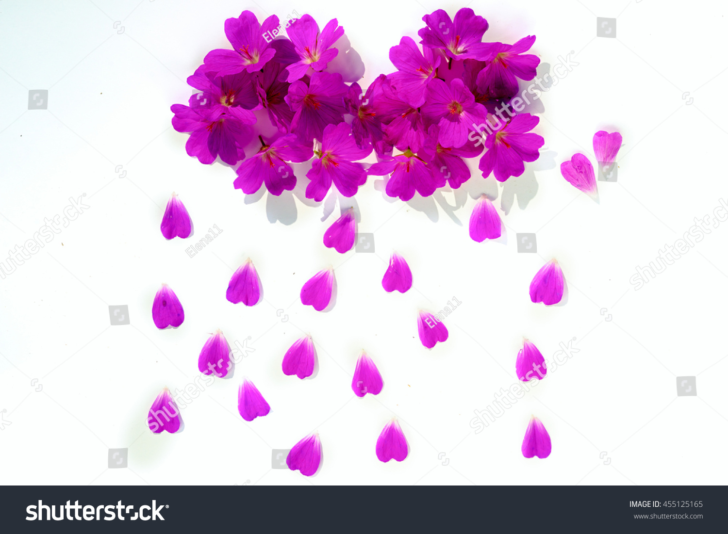 Edit Photos Free Online - a cloud of flowers | Shutterstock Editor