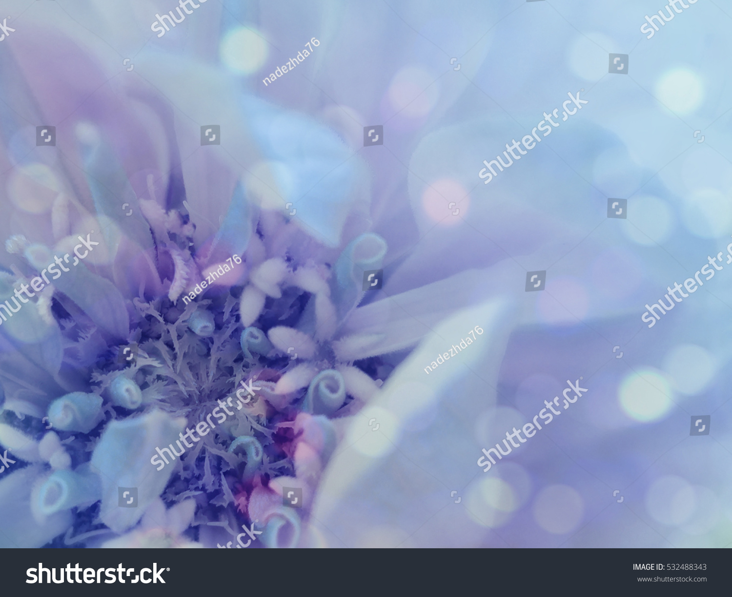 Edit Photos Free Online - blue-purple flower | Shutterstock Editor