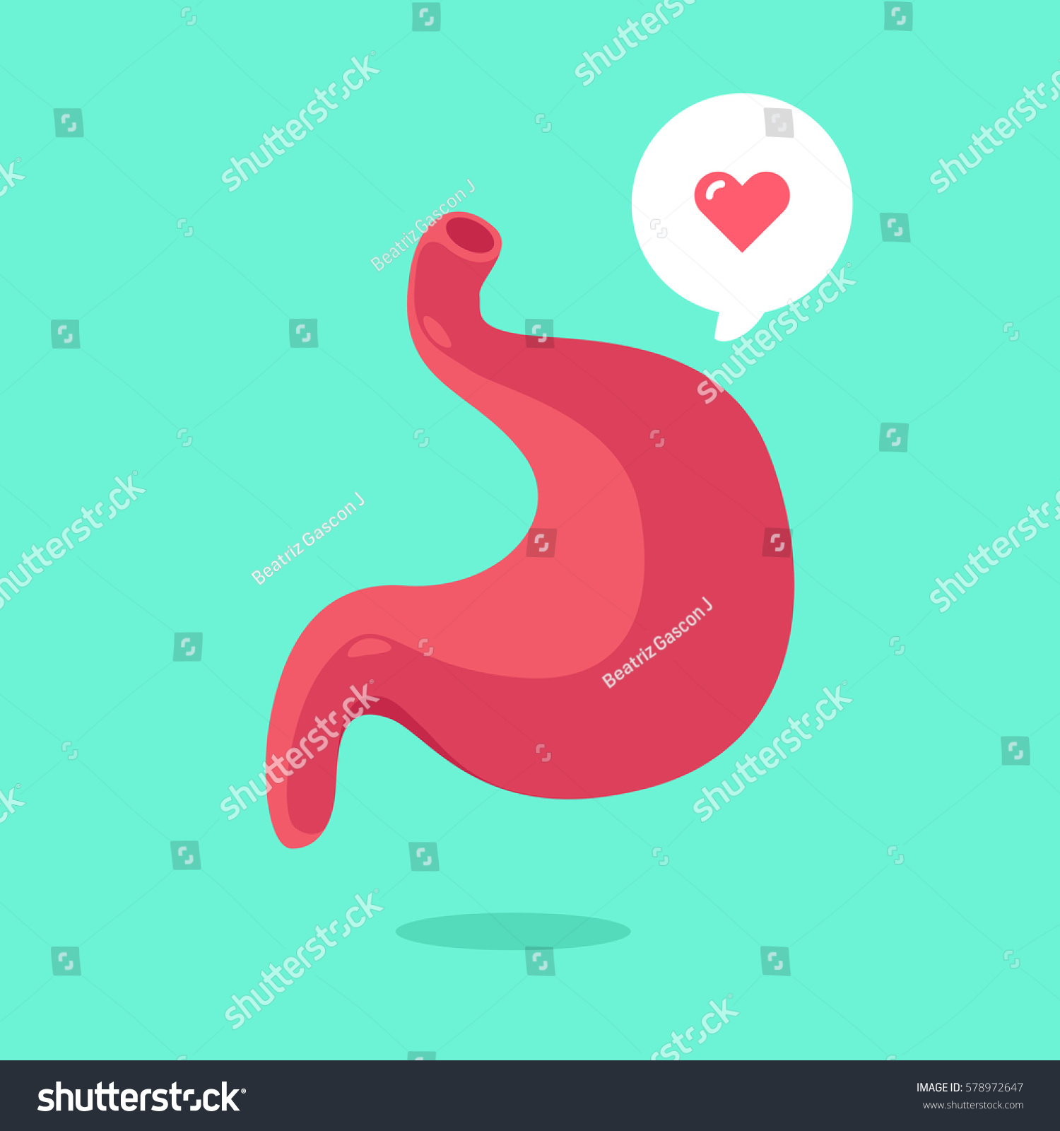 Download Edit Vectors Free Online - stomach vector | Shutterstock Editor