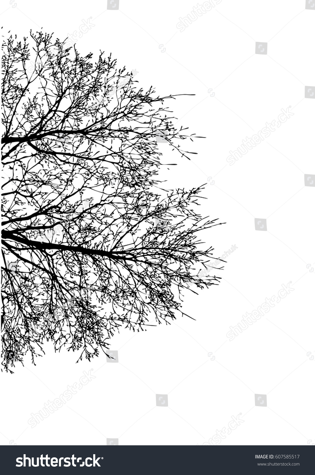 Edit Vectors Free Online - Silhouette of tree | Shutterstock Editor