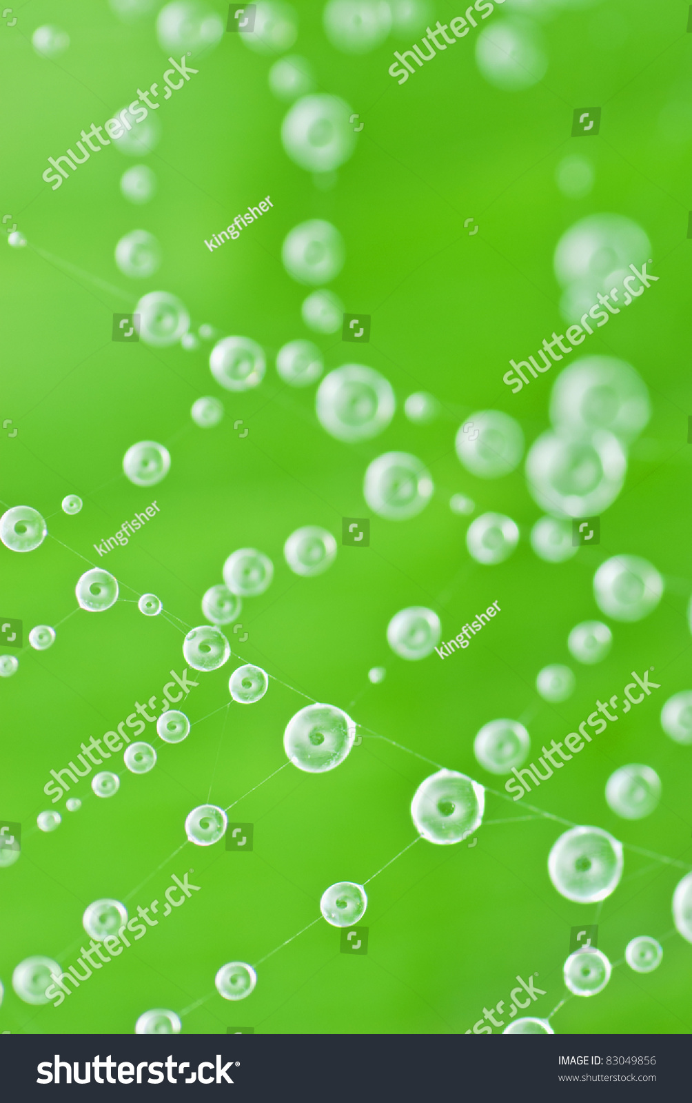 Online Image Photo Editor Shutterstock Editor Online Image Photo Editor Shutterstock Editor