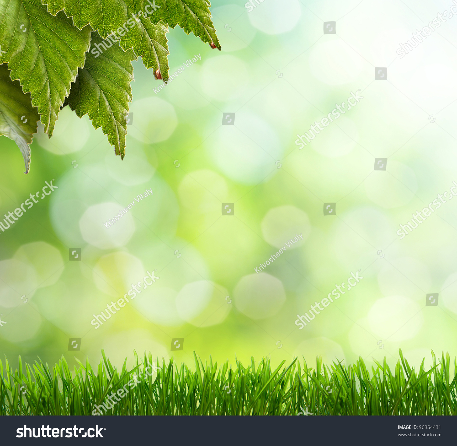 Edit Vectors Free Online - natural green | Shutterstock Editor