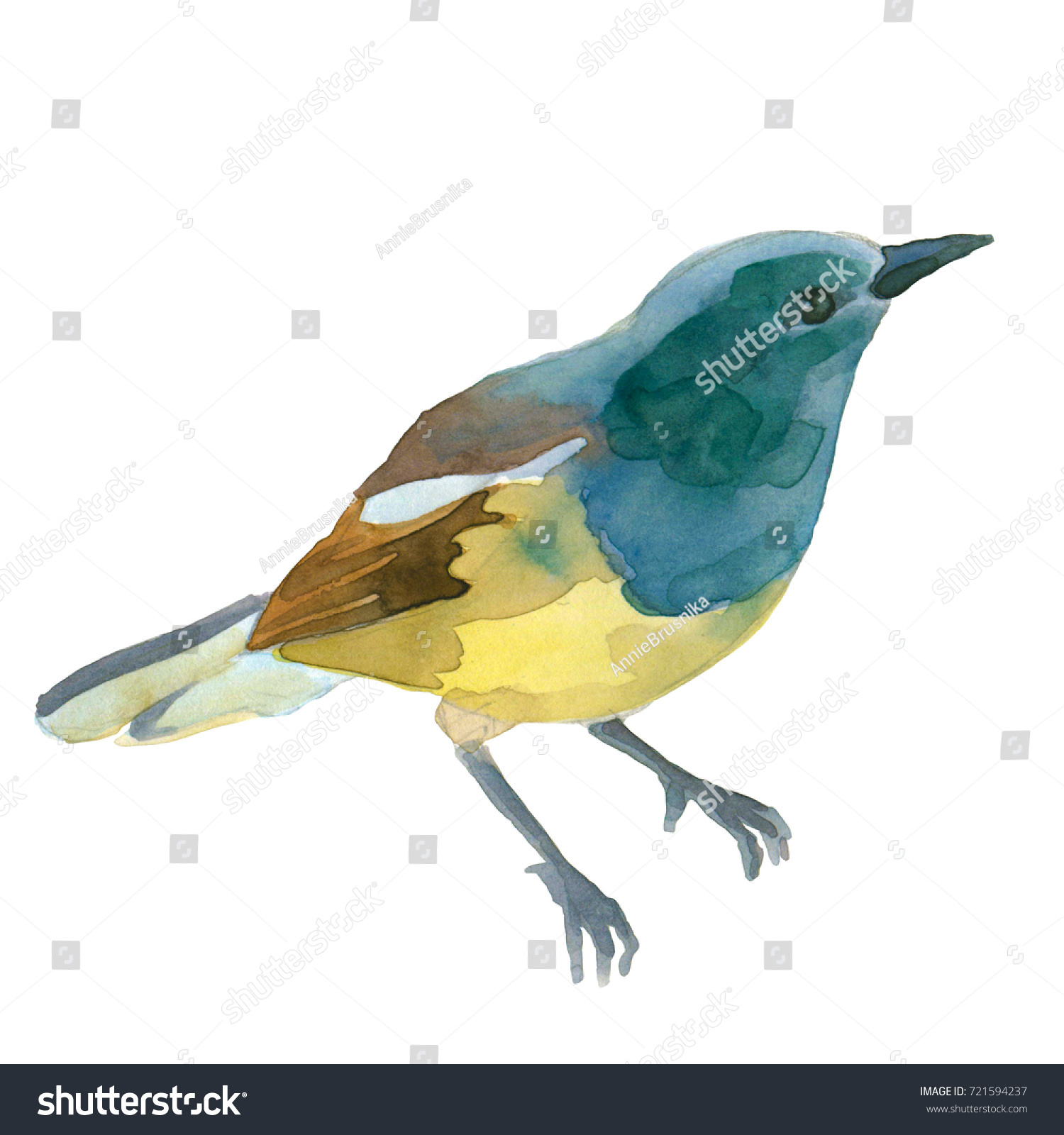 Little Blue Bird Watercolor Illustration Isolated Stock Illustration ...