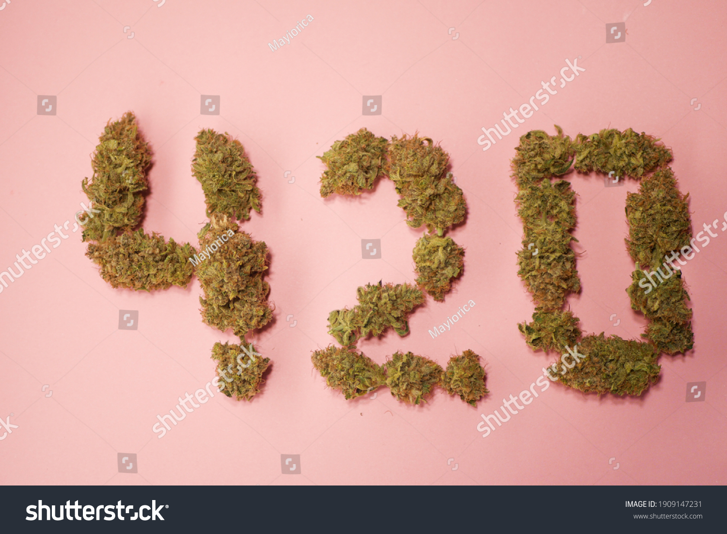 20 April Symbol 420 Celebrate Cannabis Stock Photo 1909147231 ...