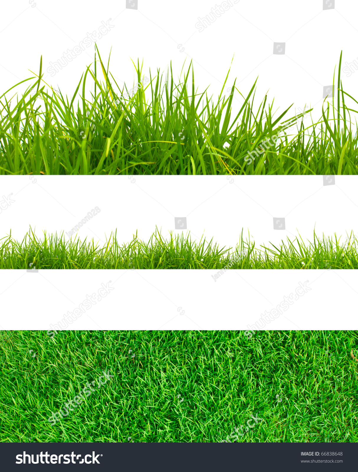 3 Backgrounds Fresh Spring Green Grass Stock Photo ...