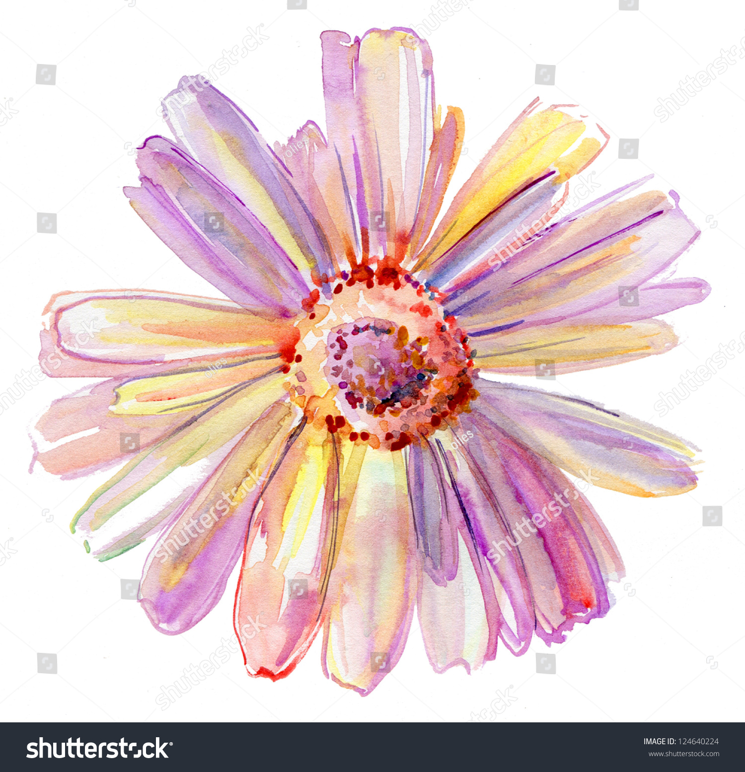 Beautiful Pink Flower Watercolor Painting Stock Illustration 124640224 ...