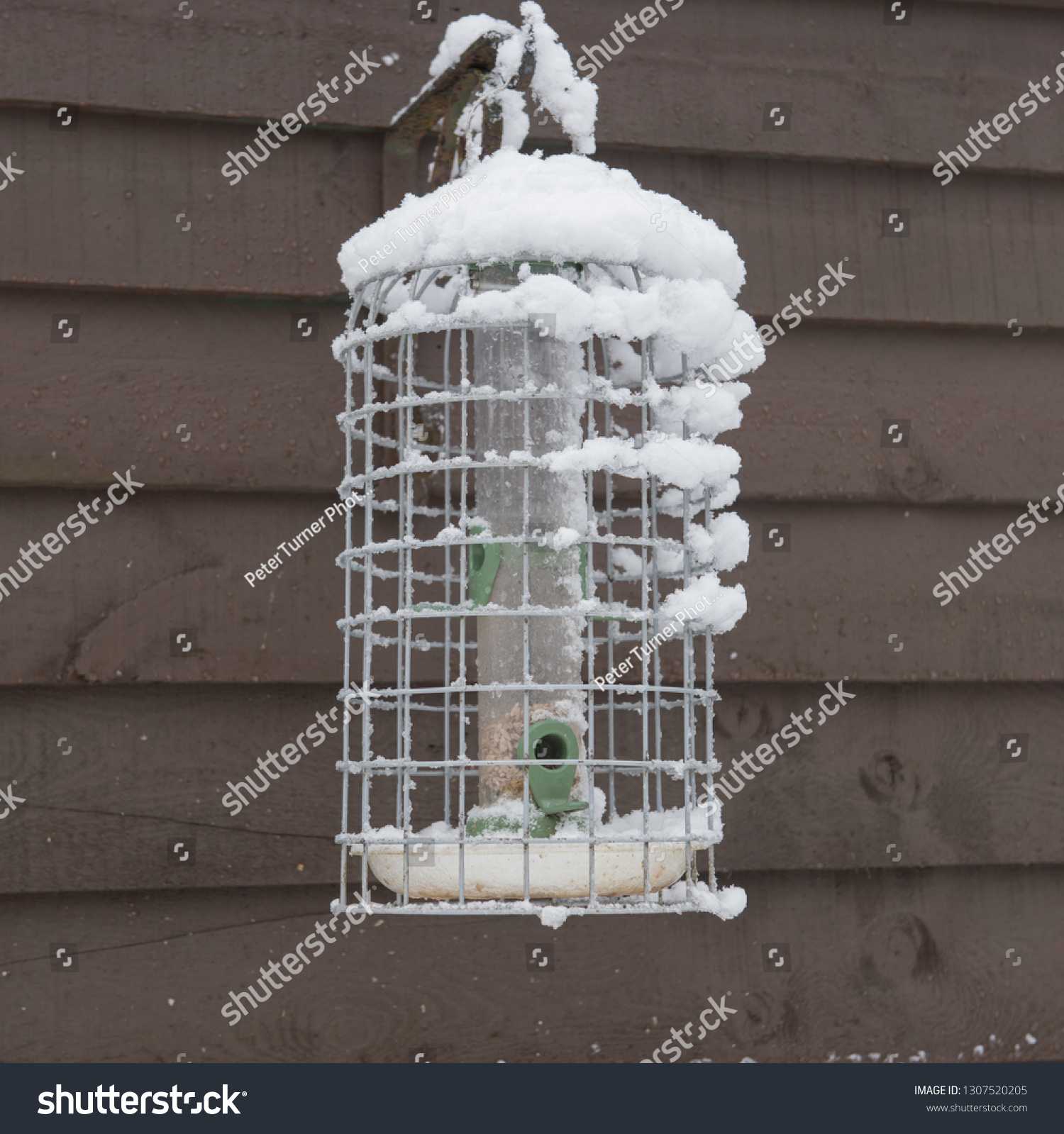 Bird Feeder Attached Wooden Garage Wall Stock Photo Edit Now