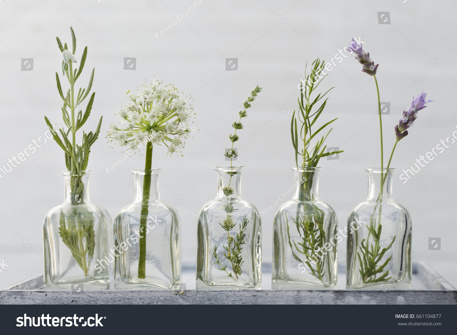 Bottle Essential Oil Herbs Lavender Flower Stock Photo (Edit Now) 661104877