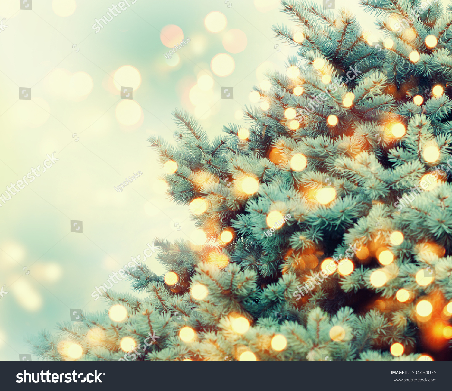 Christmas Tree Background. Stock Photo 504494035 : Shutterstock